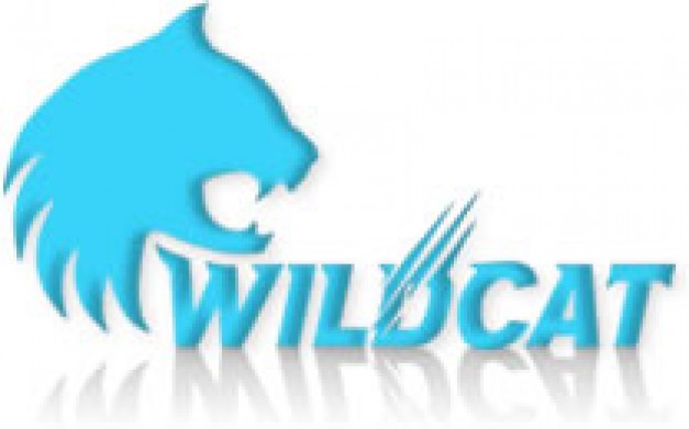 וואילד קאט – Wild Cat